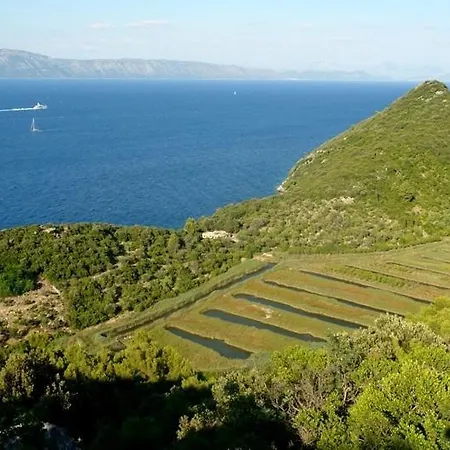 Πανσιόν Radulj Kozarica