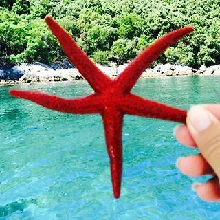 Radulj Πανσιόν 3*