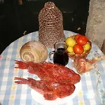 Radulj Kozarica