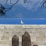 Radulj 3*