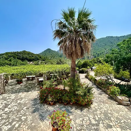 Pensjonat Radulj Kozarica