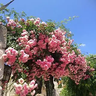 Radulj Pensjonat Kozarica